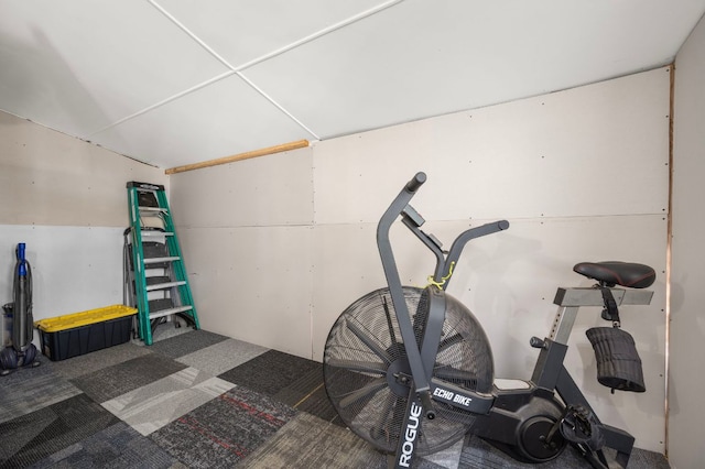 workout area featuring carpet flooring