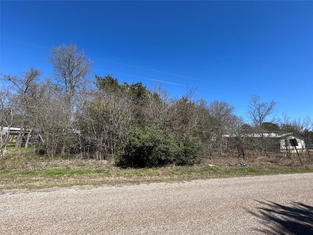 Listing photo 3 for 0 Flint Ridge St, Bastrop TX 78602