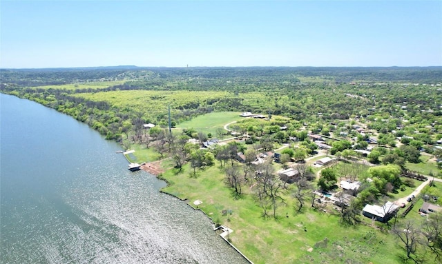 bird's eye view with a wooded view and a water view