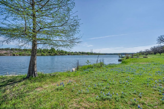 property view of water