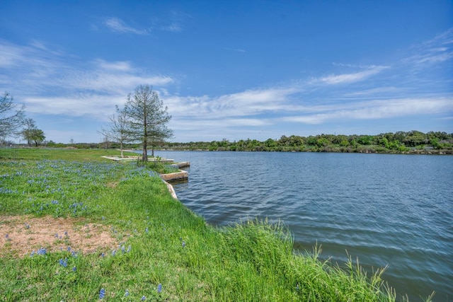 water view featuring a dock