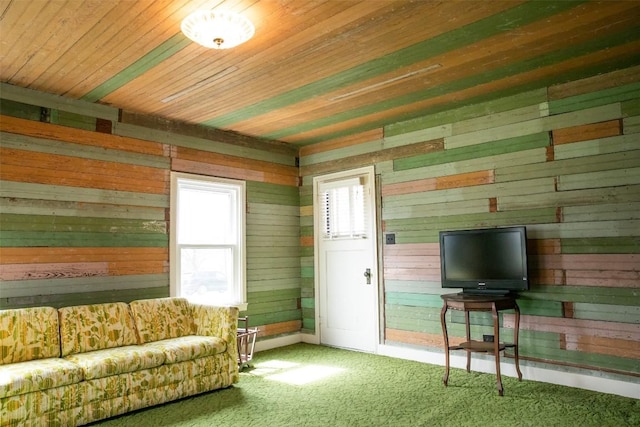 living area with carpet, wood ceiling, and wood walls