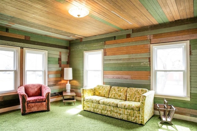 living area with plenty of natural light, wooden walls, and wooden ceiling