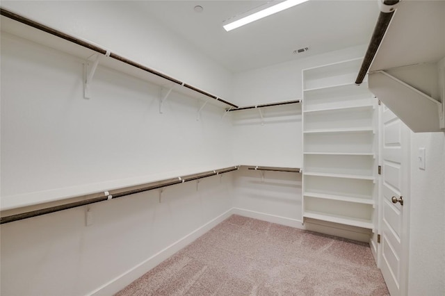 503 Emory Crossing Blvd, Hutto, TX 78634 - spacious closet featuring light carpet