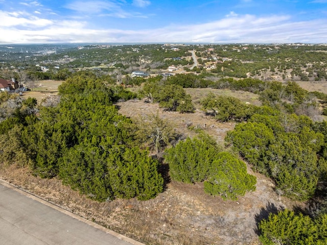 19504 Single Peak Cv, Spicewood, TX 78669 - photo 11
