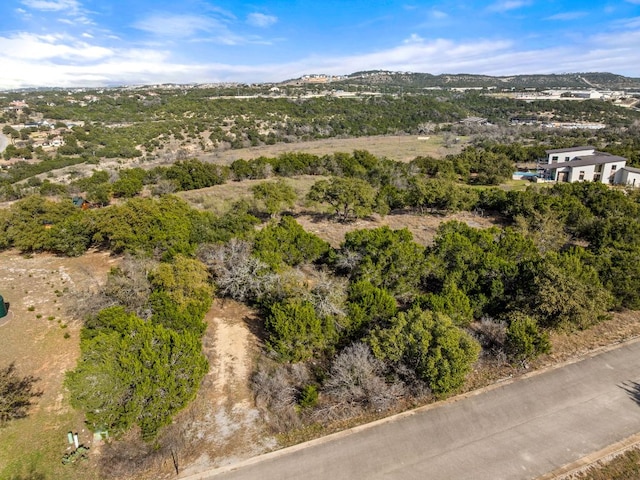 19504 Single Peak Cv, Spicewood, TX 78669 - photo 12