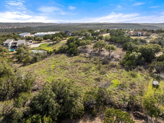19504 Single Peak Cv, Spicewood, TX 78669 - photo 13