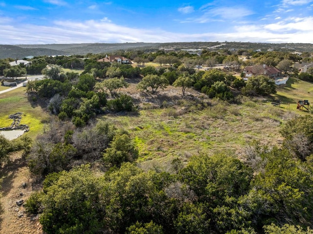 19504 Single Peak Cv, Spicewood, TX 78669 - photo 14
