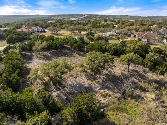 19504 Single Peak Cv, Spicewood, TX 78669 - photo 15