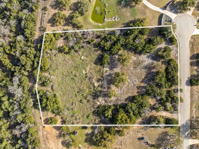 19504 Single Peak Cv, Spicewood, TX 78669 - photo 17