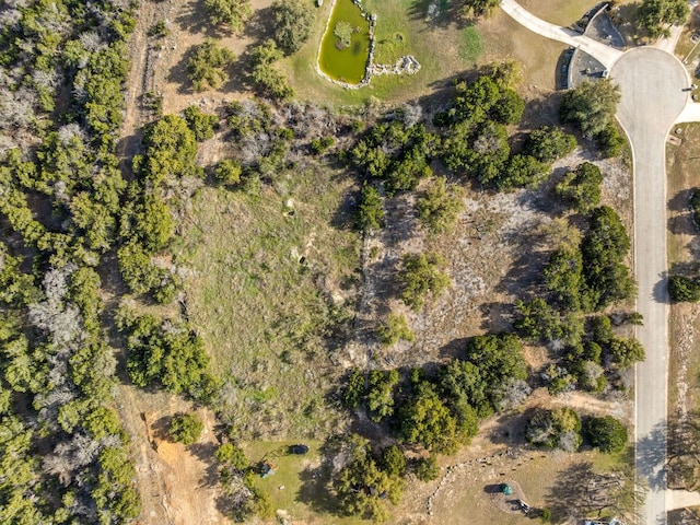 19504 Single Peak Cv, Spicewood, TX 78669 - photo 18