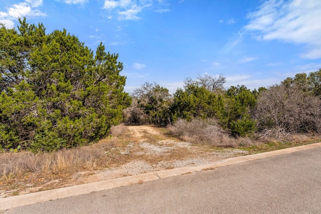 19504 Single Peak Cv, Spicewood, TX 78669 - photo 19