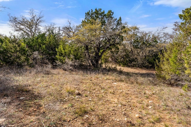 19504 Single Peak Cv, Spicewood, TX 78669 - photo 20