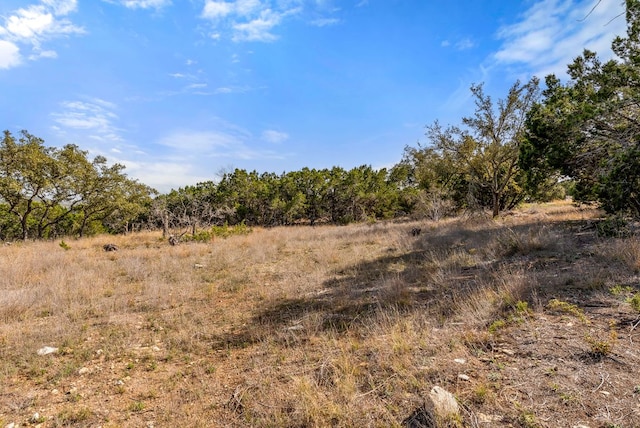 19504 Single Peak Cv, Spicewood, TX 78669 - photo 21