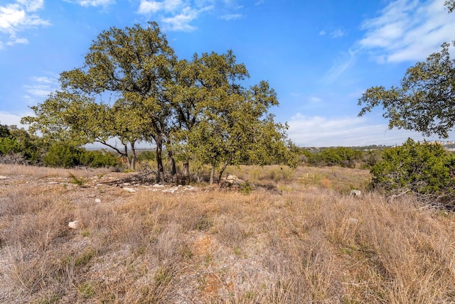 Listing photo 2 for 19504 Single Peak Cv, Spicewood TX 78669