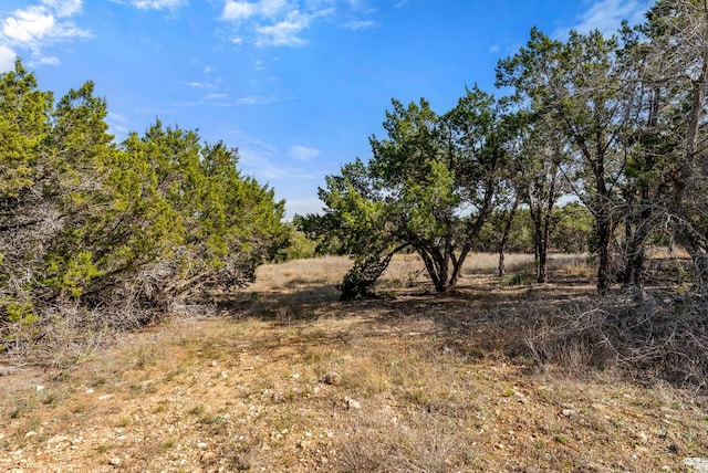 Listing photo 3 for 19504 Single Peak Cv, Spicewood TX 78669