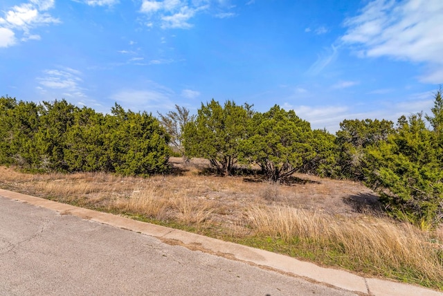 19504 Single Peak Cv, Spicewood, TX 78669 - photo 26