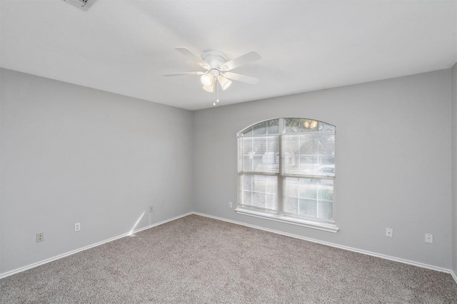 1308 Pigeon View St, Round Rock, TX 78665 - photo 14