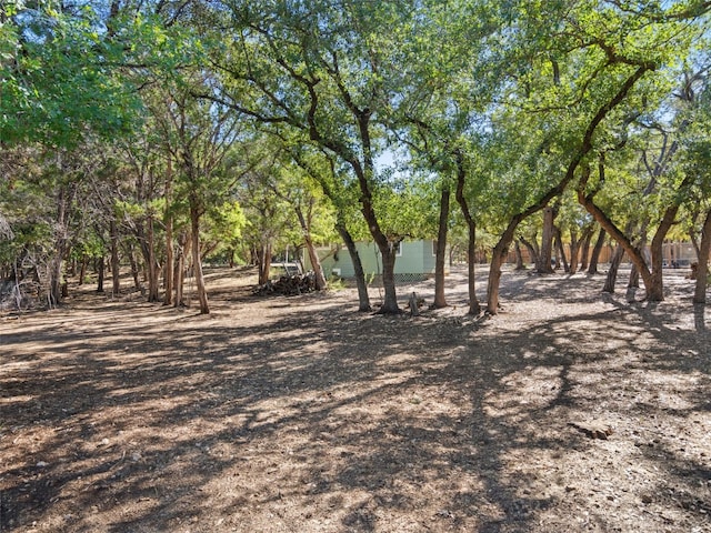 view of local wilderness