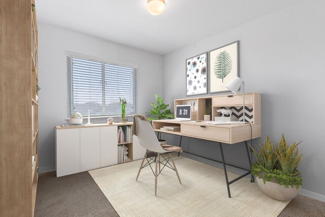 office space featuring baseboards and carpet floors