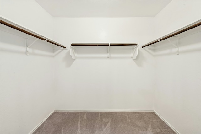 10407 Abana Way, Austin, TX 78748 - spacious closet with carpet