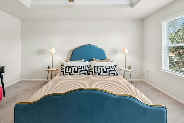 bedroom featuring a tray ceiling, multiple windows, and baseboards