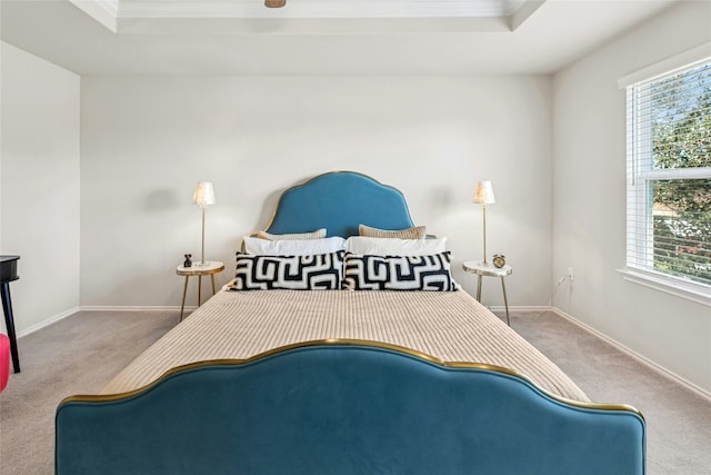 10407 Abana Way, Austin, TX 78748 - carpeted bedroom with multiple windows, ornamental molding, and a raised ceiling