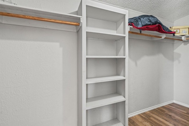 walk in closet featuring wood finished floors