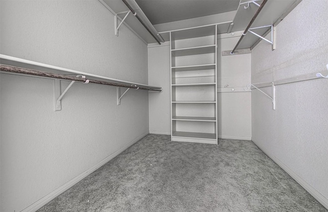 walk in closet featuring carpet floors