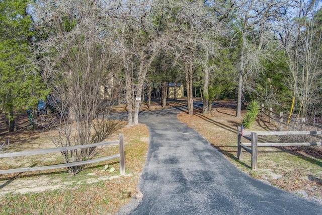 view of road with driveway