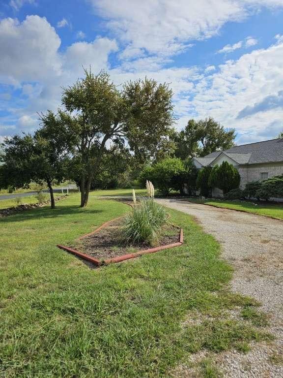 view of yard featuring driveway