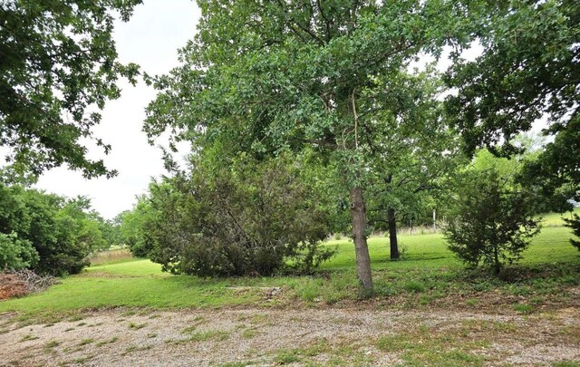 107 Patricia Rd, Georgetown, TX 78628 - view of nature