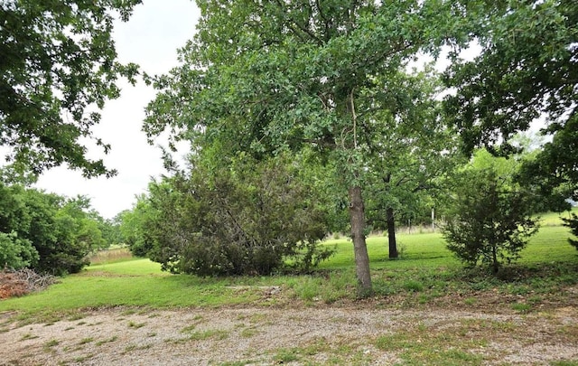 107 Patricia Rd, Georgetown, TX 78628 - view of nature