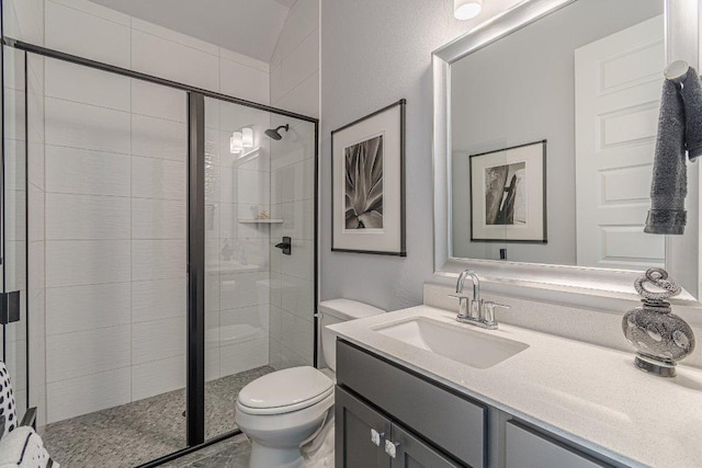 253 Sweeping Sage Ln, San Marcos, TX 78666 - bathroom with toilet, vanity, and a stall shower