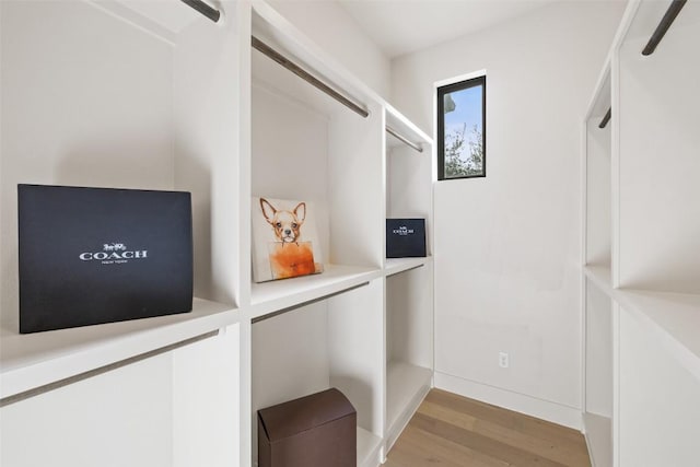 spacious closet featuring light wood-style floors