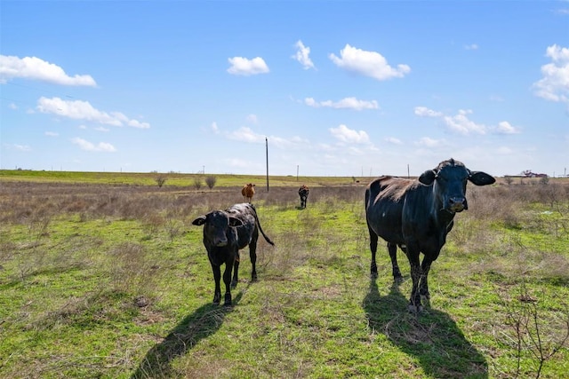 700 County Road 466, Elgin, TX 78621 - photo 22