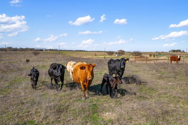 700 County Road 466, Elgin, TX 78621 - photo 23