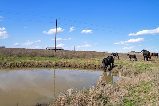700 County Road 466, Elgin, TX 78621 - water view featuring rural landscape