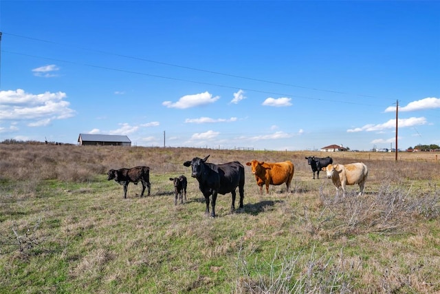 700 County Road 466, Elgin, TX 78621 - view of yard with a view of countryside and oil tank