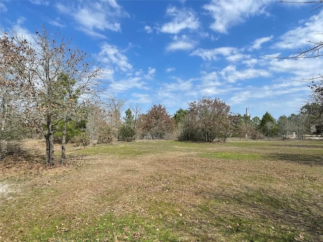 view of nature