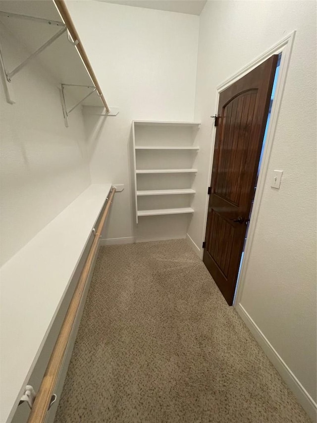 spacious closet featuring carpet floors