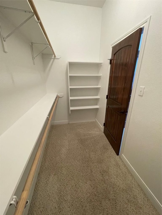 108 E Tanglebriar Ct, Bastrop, TX 78602 - spacious closet with carpet flooring
