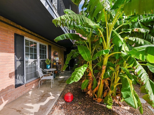 900 S Lamar Blvd Unit 205, Austin, TX 78704 - view of patio / terrace