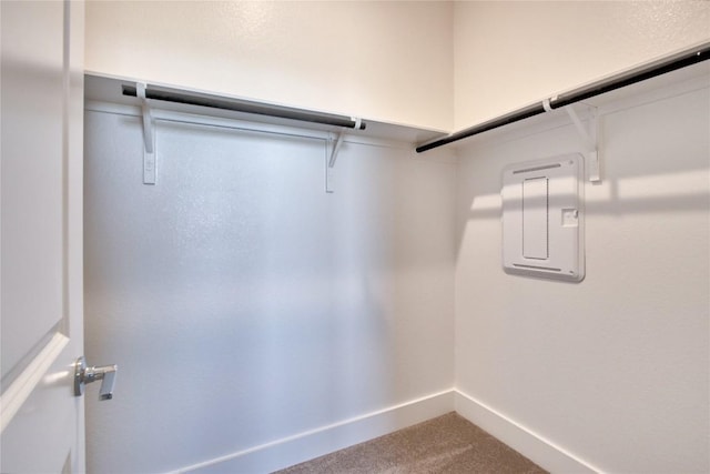 walk in closet with electric panel and carpet flooring