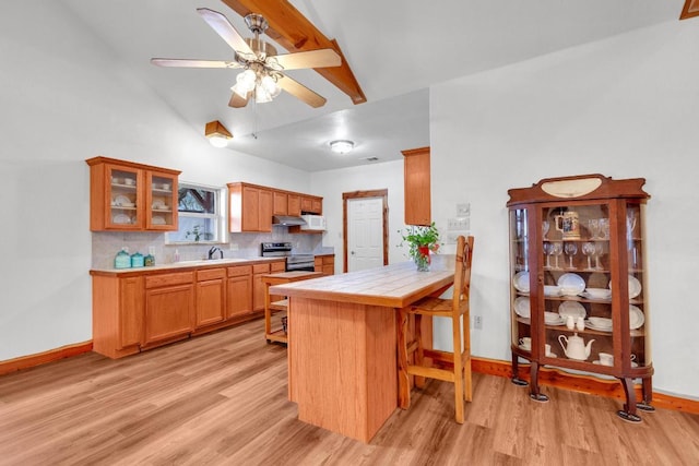 kitchen featuring light wood finished floors, backsplash, under cabinet range hood, stainless steel electric stove, and tile countertops