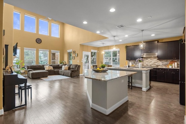 kitchen featuring tasteful backsplash, visible vents, under cabinet range hood, dark wood finished floors, and a center island with sink