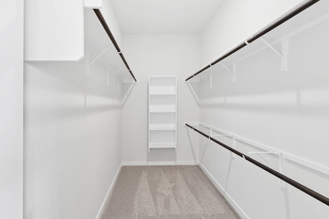 4419 College Square Dr, Round Rock, TX 78665 - spacious closet featuring light colored carpet