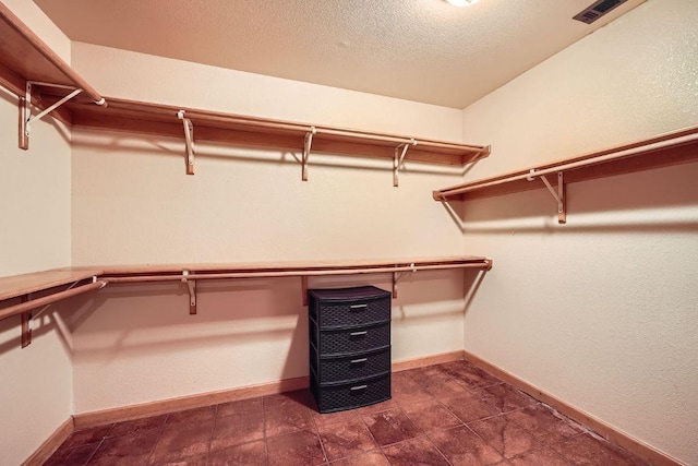 spacious closet with visible vents