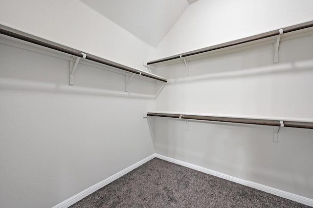 spacious closet with lofted ceiling and carpet