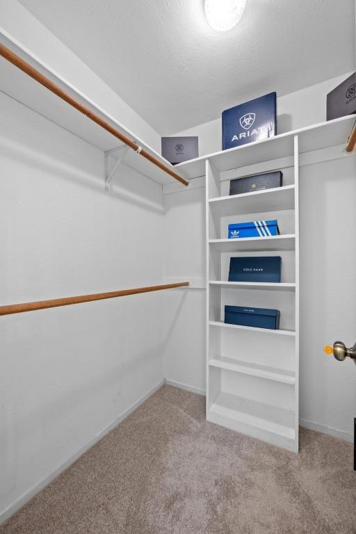 spacious closet with carpet flooring